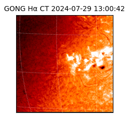 gong - 2024-07-29T13:00:42