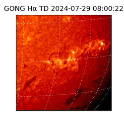 gong - 2024-07-29T08:00:22