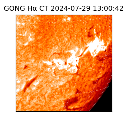 gong - 2024-07-29T13:00:42