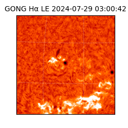 gong - 2024-07-29T03:00:42