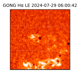 gong - 2024-07-29T06:00:42