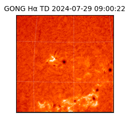 gong - 2024-07-29T09:00:22