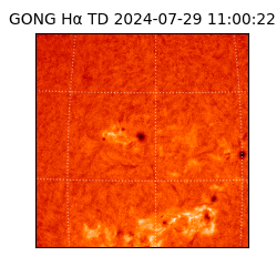 gong - 2024-07-29T11:00:22