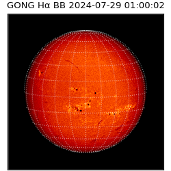 gong - 2024-07-29T01:00:02