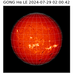 gong - 2024-07-29T02:00:42
