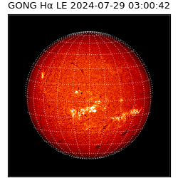 gong - 2024-07-29T03:00:42