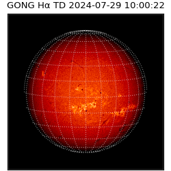 gong - 2024-07-29T10:00:22