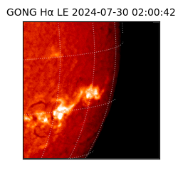 gong - 2024-07-30T02:00:42