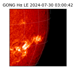 gong - 2024-07-30T03:00:42