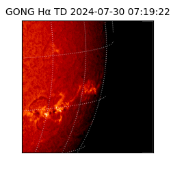 gong - 2024-07-30T07:19:22
