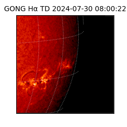 gong - 2024-07-30T08:00:22