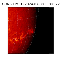gong - 2024-07-30T11:00:22