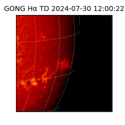 gong - 2024-07-30T12:00:22