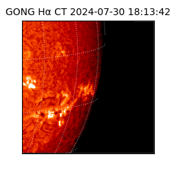 gong - 2024-07-30T18:13:42
