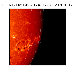 gong - 2024-07-30T21:00:02