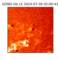 gong - 2024-07-30T02:00:42