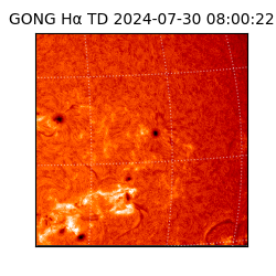 gong - 2024-07-30T08:00:22