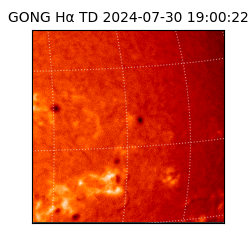 gong - 2024-07-30T19:00:22