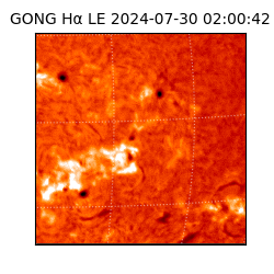 gong - 2024-07-30T02:00:42