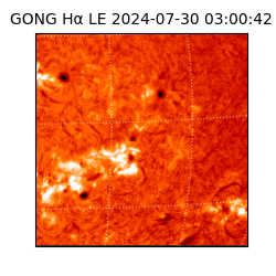 gong - 2024-07-30T03:00:42