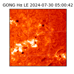 gong - 2024-07-30T05:00:42