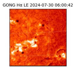 gong - 2024-07-30T06:00:42