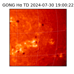 gong - 2024-07-30T19:00:22