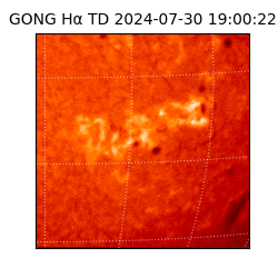 gong - 2024-07-30T19:00:22