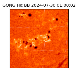 gong - 2024-07-30T01:00:02