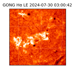 gong - 2024-07-30T03:00:42