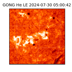 gong - 2024-07-30T05:00:42