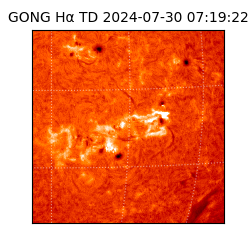 gong - 2024-07-30T07:19:22