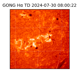 gong - 2024-07-30T08:00:22