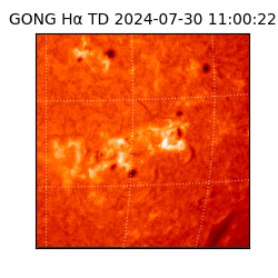 gong - 2024-07-30T11:00:22