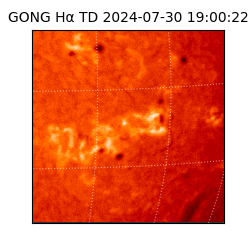 gong - 2024-07-30T19:00:22