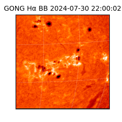 gong - 2024-07-30T22:00:02