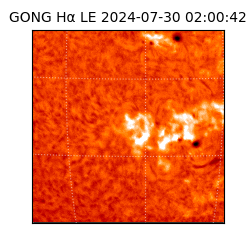 gong - 2024-07-30T02:00:42