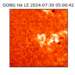 gong - 2024-07-30T05:00:42