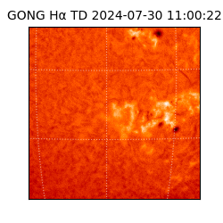 gong - 2024-07-30T11:00:22