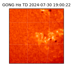 gong - 2024-07-30T19:00:22