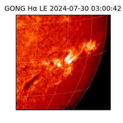 gong - 2024-07-30T03:00:42