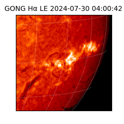 gong - 2024-07-30T04:00:42