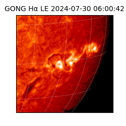 gong - 2024-07-30T06:00:42