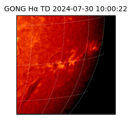gong - 2024-07-30T10:00:22