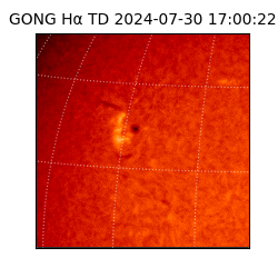 gong - 2024-07-30T17:00:22