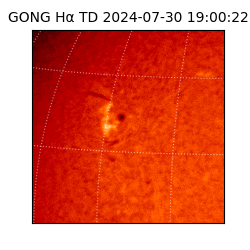 gong - 2024-07-30T19:00:22