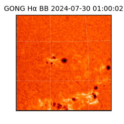 gong - 2024-07-30T01:00:02