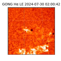 gong - 2024-07-30T02:00:42