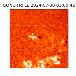 gong - 2024-07-30T03:00:42