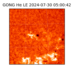 gong - 2024-07-30T05:00:42